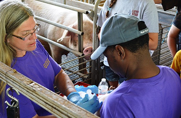 Pork Producers Field Day.jpg