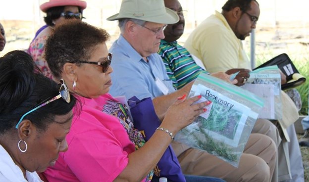 lg-AG_FIELD_DAY_PHOTO