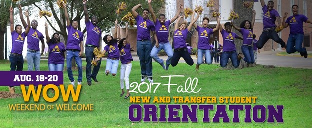 Web Banner WOW Orientation.jpg