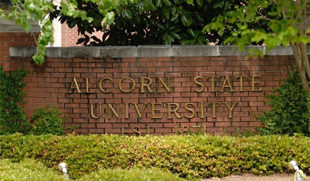 Another Alcorn pic.jpg