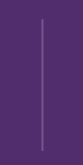 border white