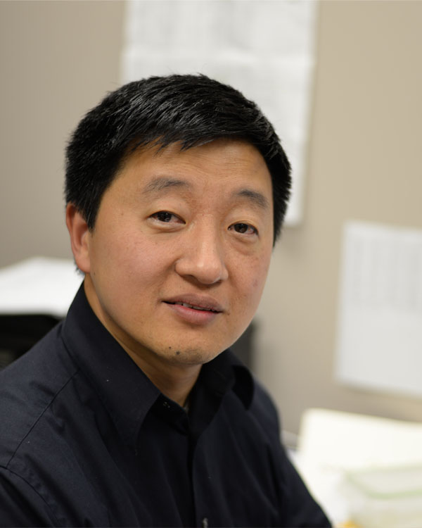 Dr. Lixin Yu, Professor