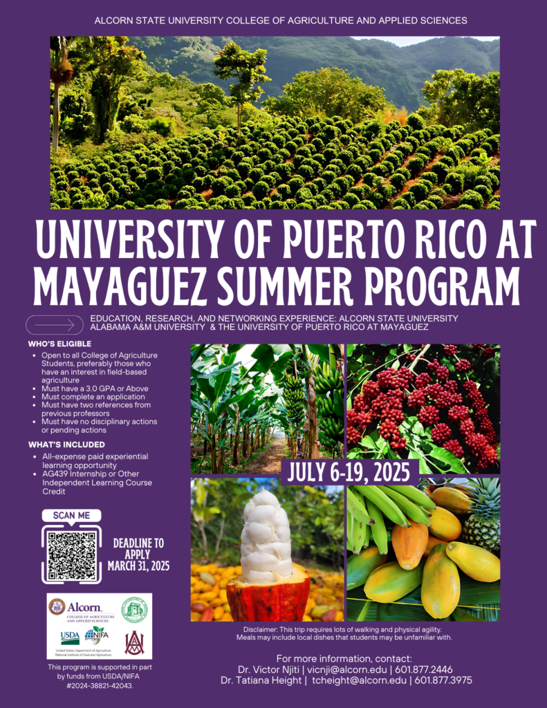 Puerto Rico Mayaguez Summer Program Flyer 2025