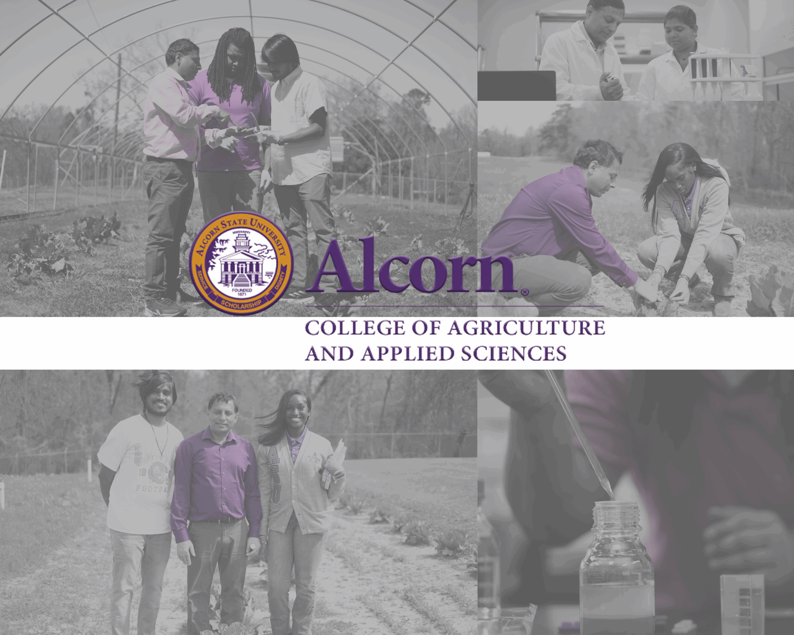 AG DEGREE BACKGROUND