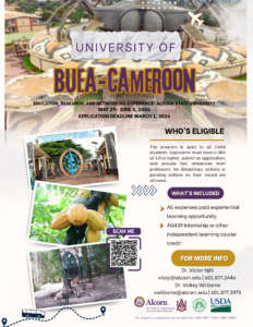 Buea CAMEROON FLYER (1)
