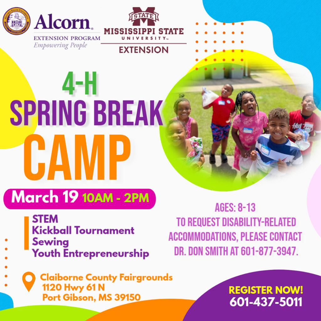 4H Spring Break Camp