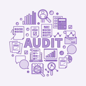 Internal audit logo