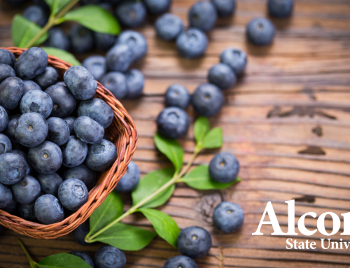 Alcorn State to host free organic farming workshop