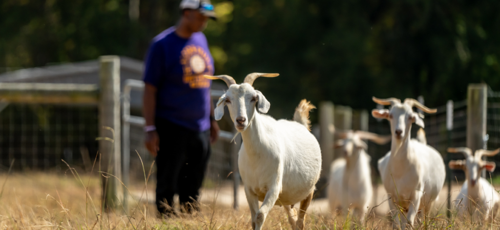 Advancing the success of Socially Disadvantaged Farmers